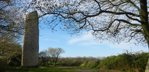 menhir-arbre