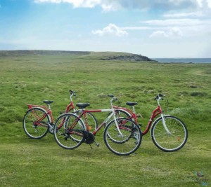 Vélos de Ouessant cycles