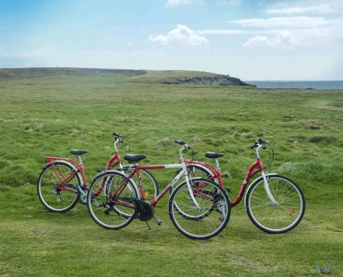 Vélos de Ouessant cycles
