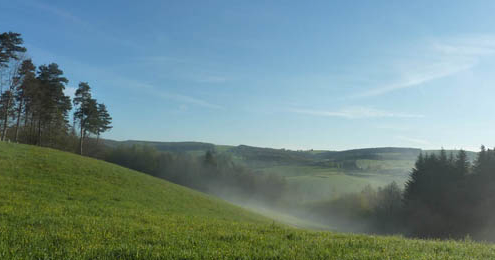 brume au matin