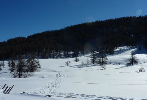 paysage enneigé