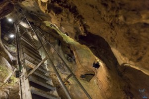 Visite de la grotte Rochefort